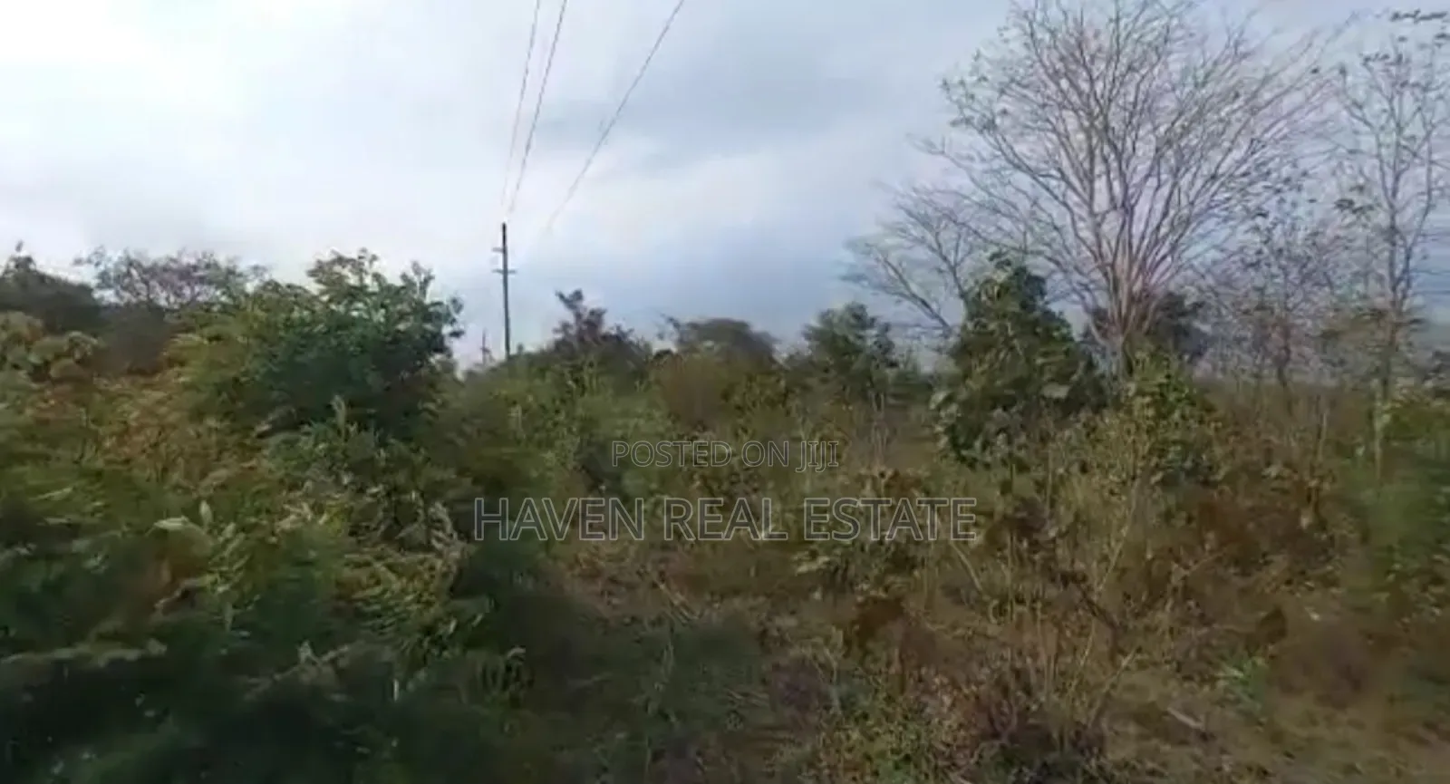 77acres Shamba Linauzwa Miswe Kibaha in Kibaha