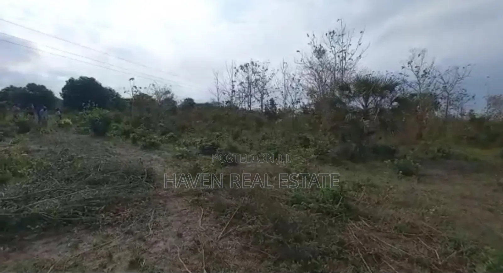 77acres Shamba Linauzwa Miswe Kibaha in Kibaha