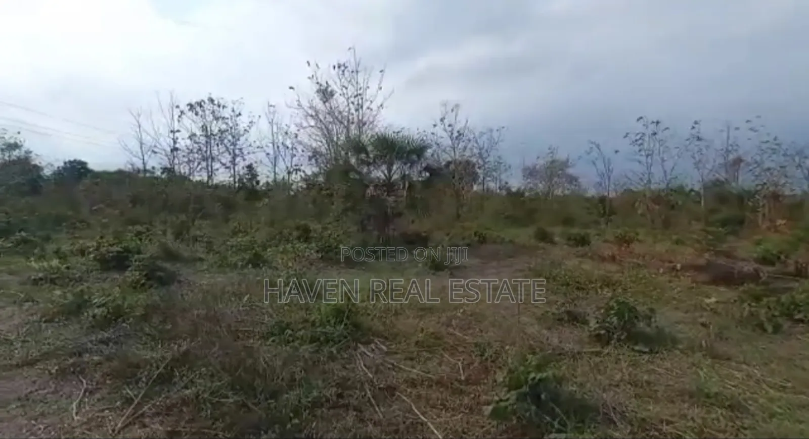 77acres Shamba Linauzwa Miswe Kibaha in Kibaha