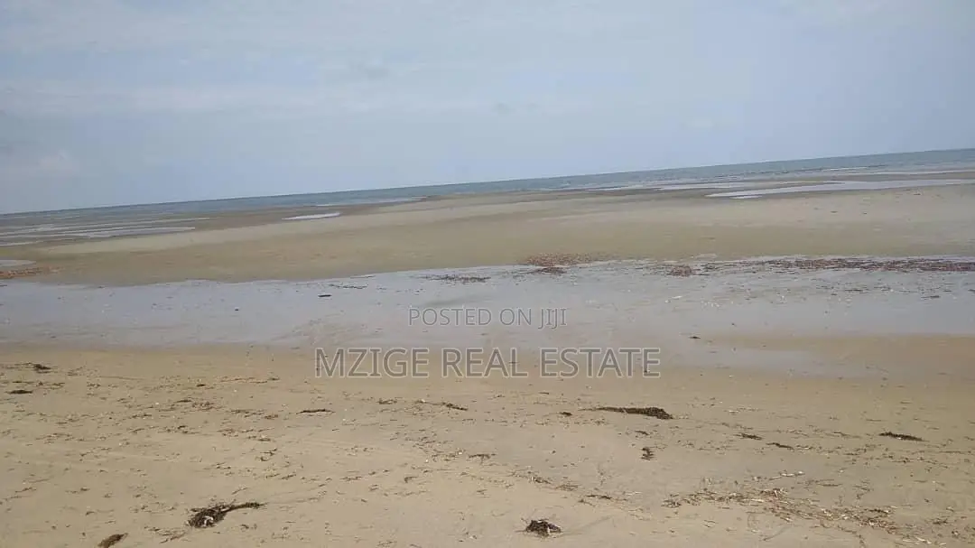 40 Acres Prime Beachfront for Sale in Mkwaja - Pangani,Tanga in Mkwaja