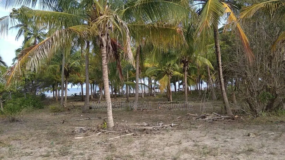 40 Acres Prime Beachfront for Sale in Mkwaja - Pangani,Tanga in Mkwaja