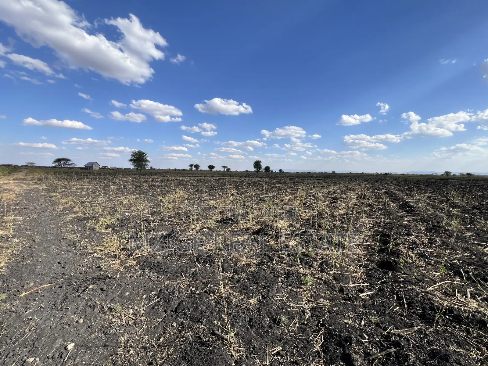 Shamba La Ekari 121.7 Linauzwa Galapo Kijiji Cha Endadoshi-Manyara in Qash