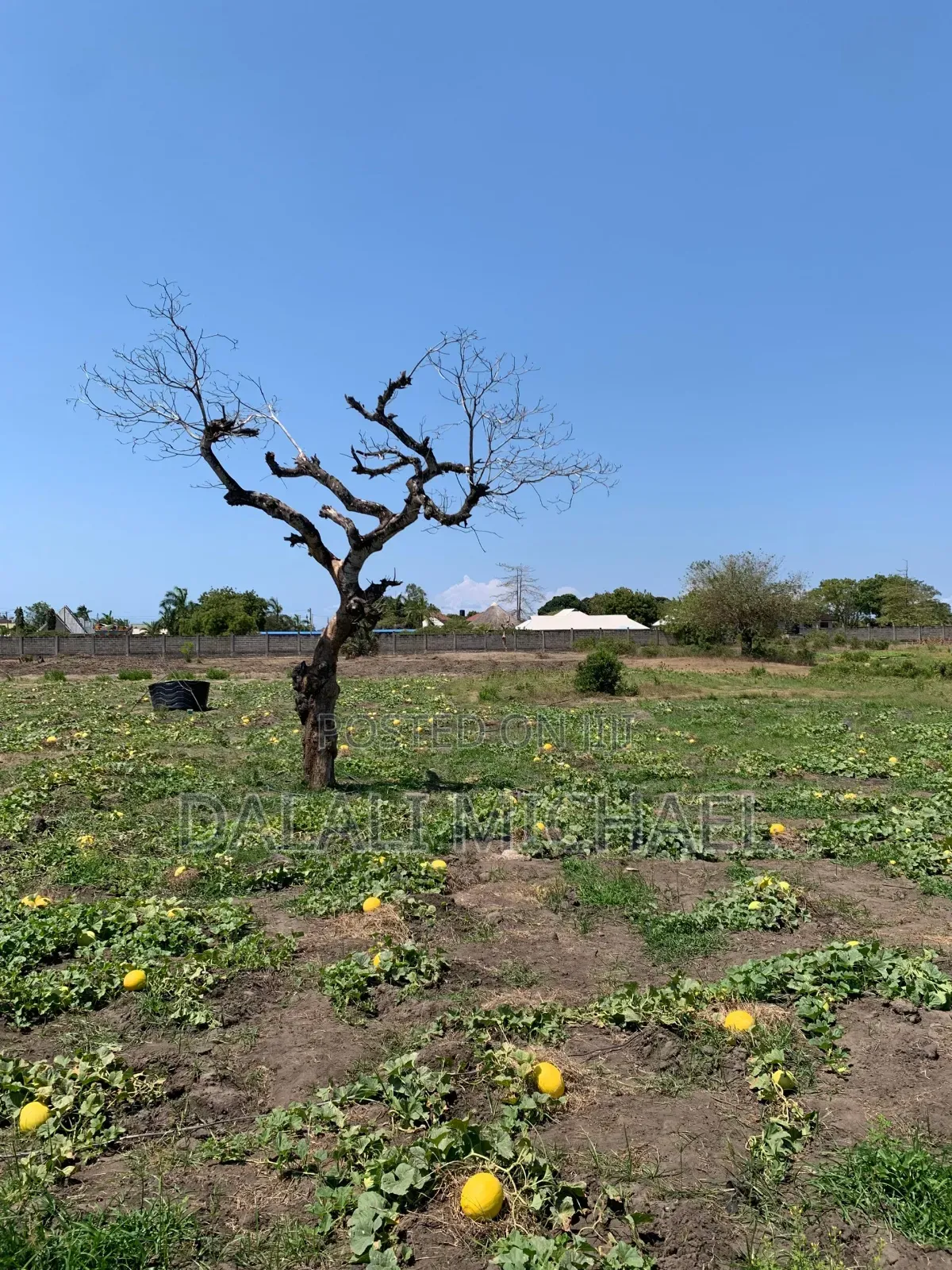 Property for Sale Mbweni in Mbweni