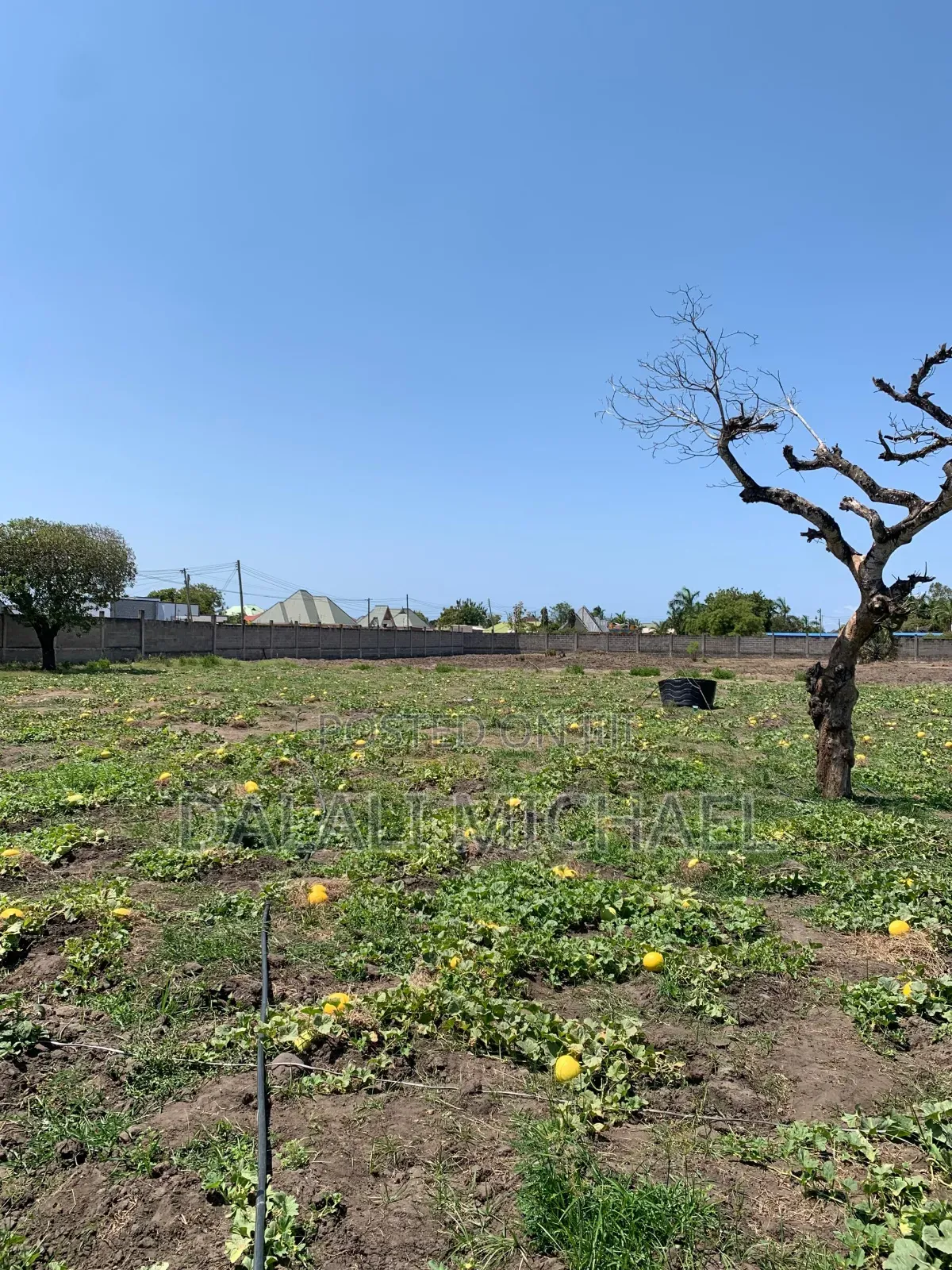Property for Sale Mbweni in Mbweni