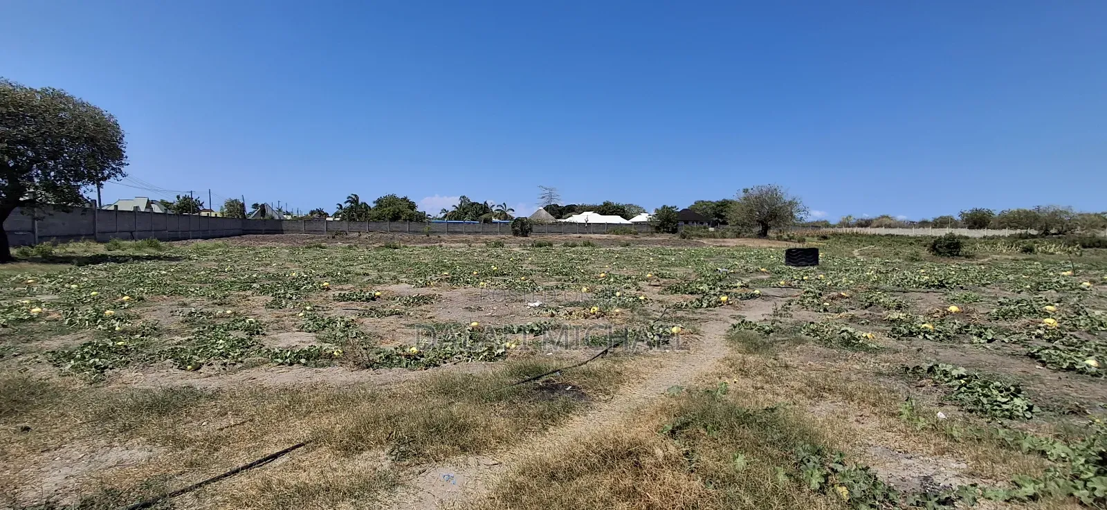 Property for Sale Mbweni in Mbweni