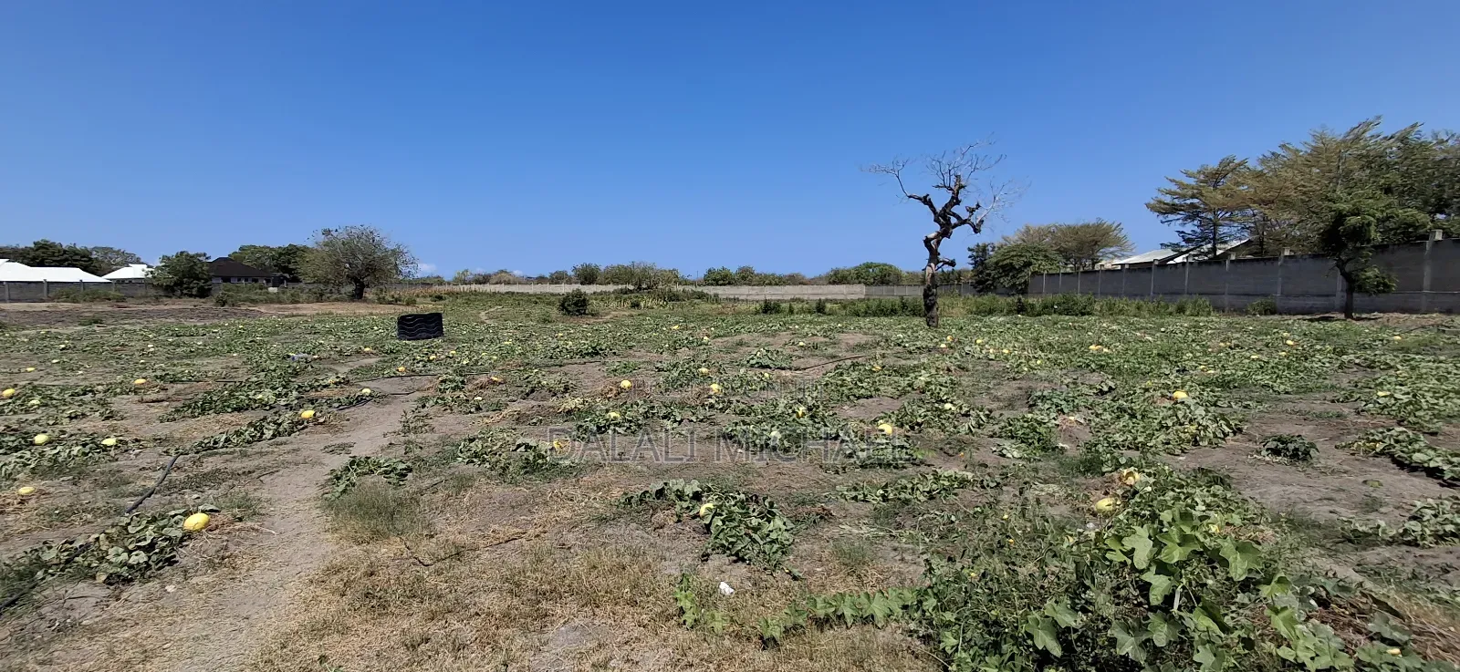 Property for Sale Mbweni in Mbweni