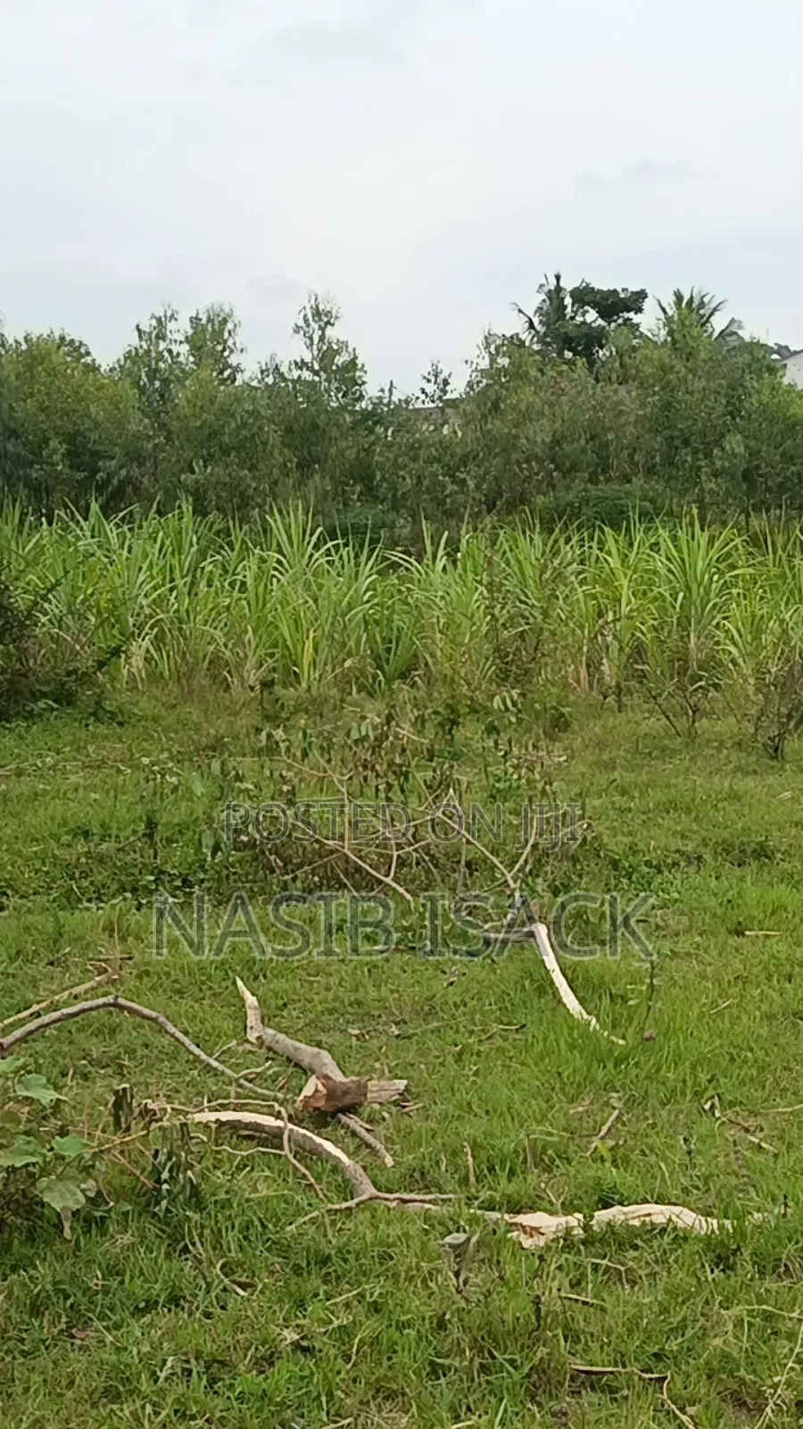 Prot for Sale, Mwanza Mkolan in Nyamagana