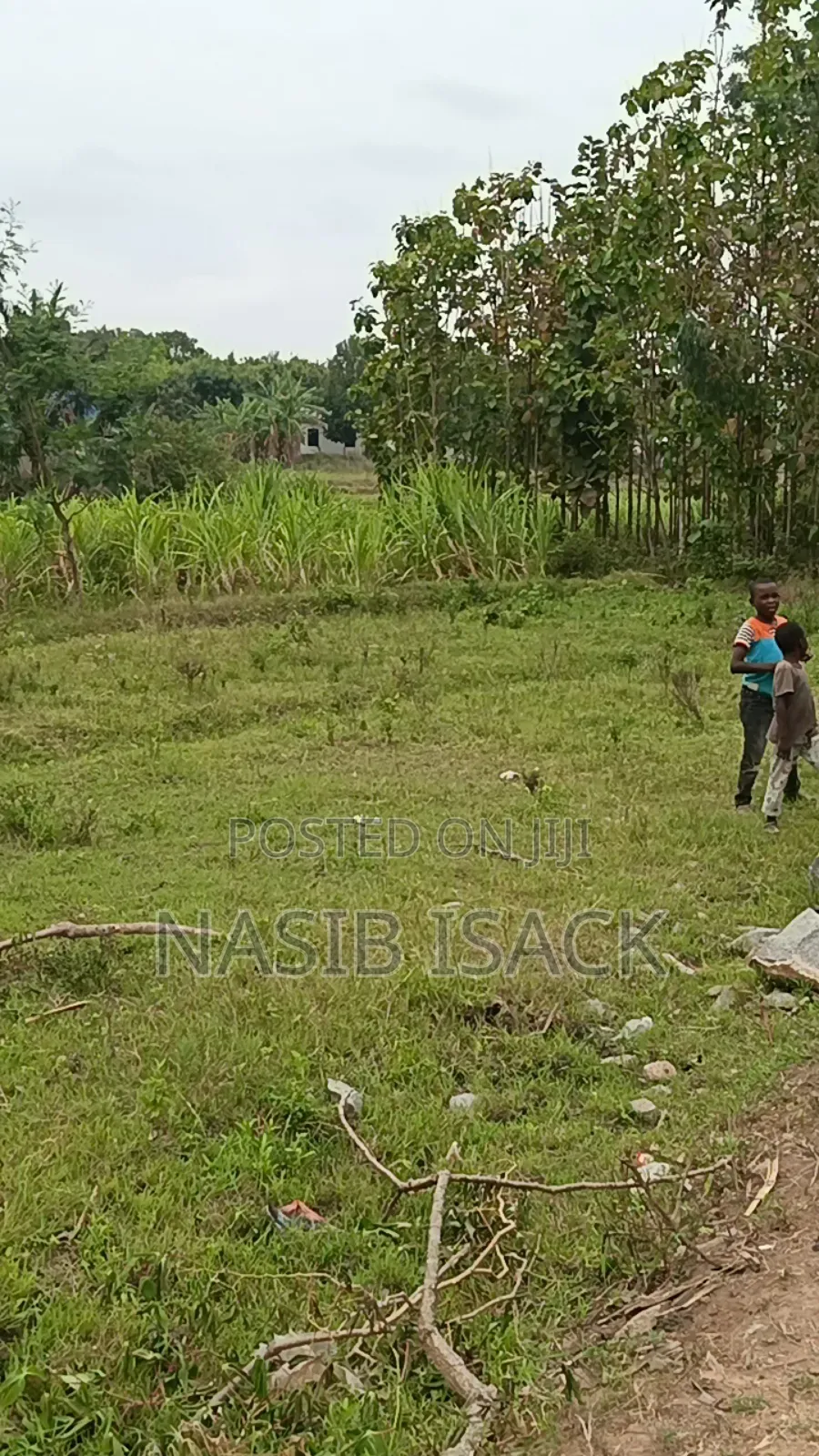 Prot for Sale, Mwanza Mkolan in Nyamagana