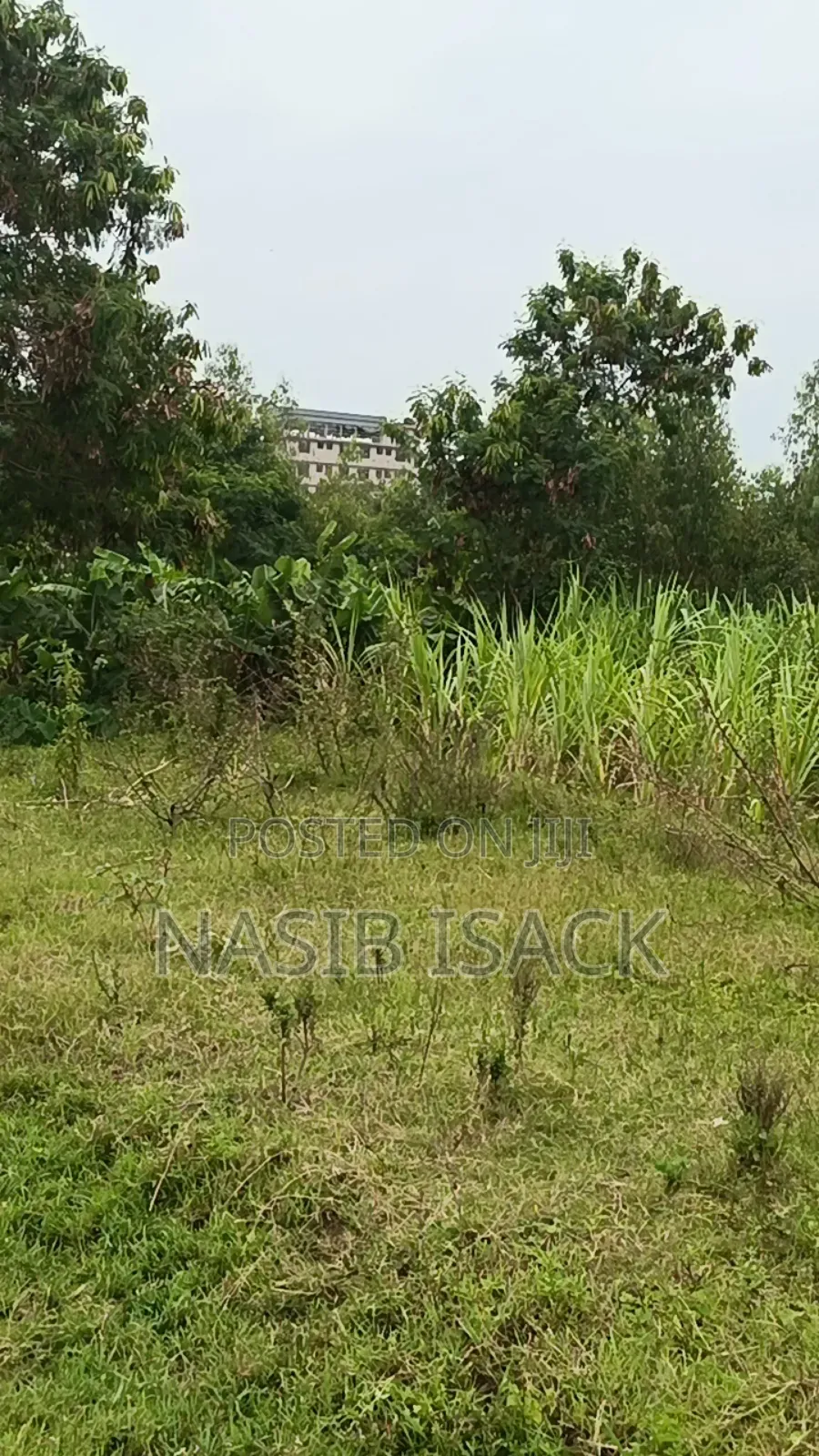 Prot for Sale, Mwanza Mkolan in Nyamagana