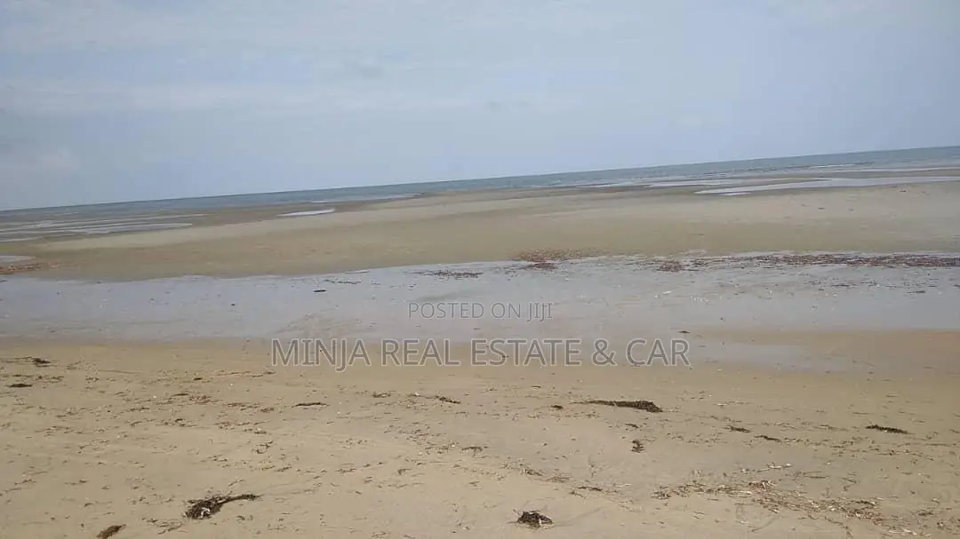 40 Acres of Beach Plot for Sale Mkwaja Pangani Tanga. in Bweni