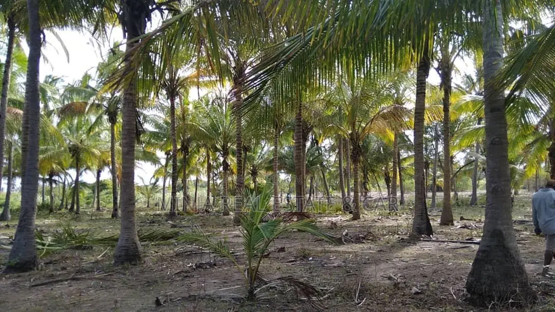 40 Acres of Beach Plot for Sale Mkwaja Pangani Tanga. in Bweni