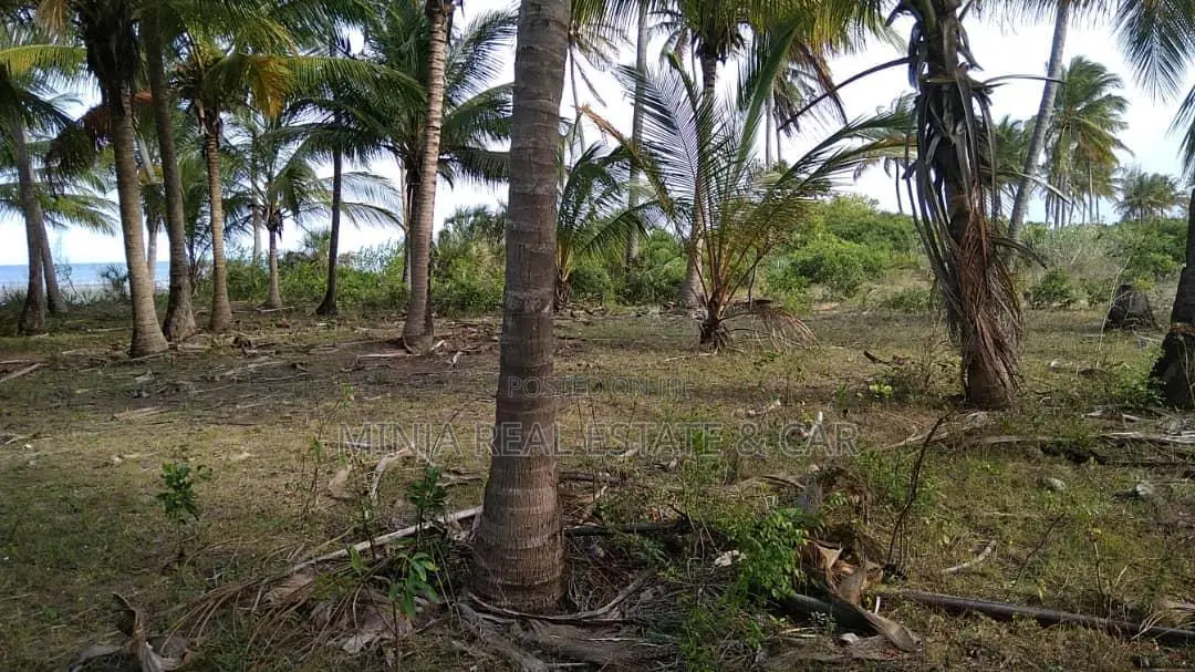 40 Acres of Beach Plot for Sale Mkwaja Pangani Tanga. in Bweni