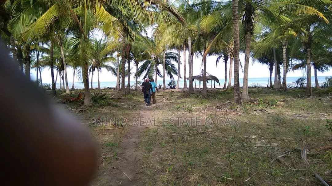 40 Acres of Beach Plot for Sale Mkwaja Pangani Tanga. in Bweni