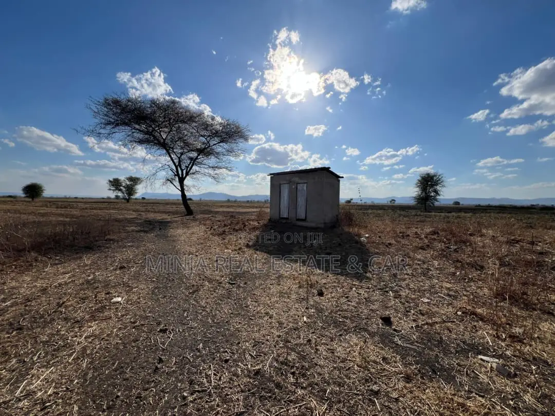 Farm for Sale With Fertile Black Soil in Manyara in Arri