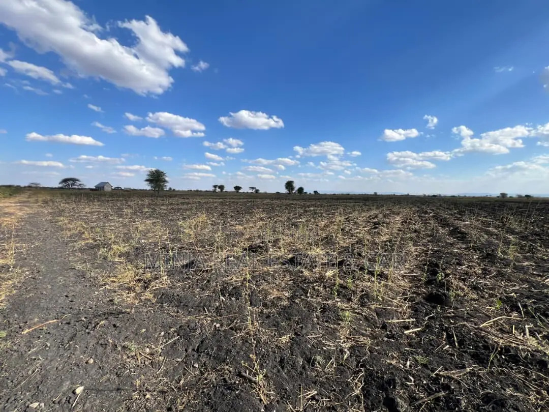 Farm for Sale With Fertile Black Soil in Manyara in Arri
