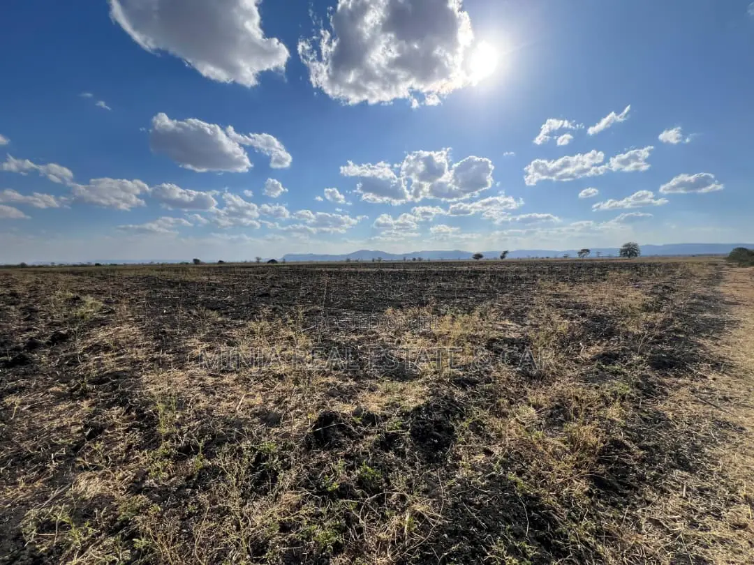 Farm for Sale With Fertile Black Soil in Manyara in Arri