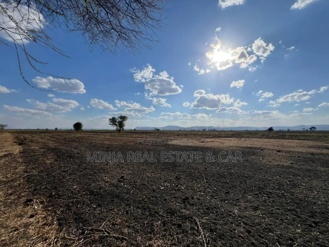 Farm for Sale With Fertile Black Soil in Manyara in Arri
