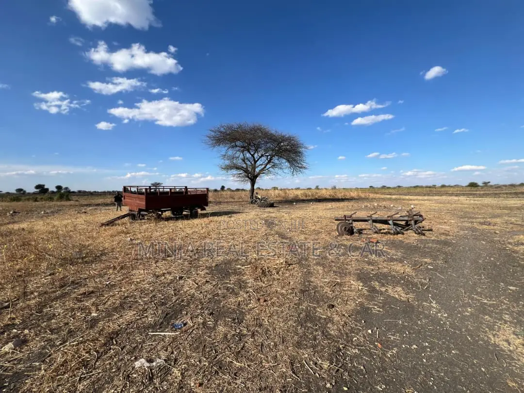 Farm for Sale With Fertile Black Soil in Manyara in Arri