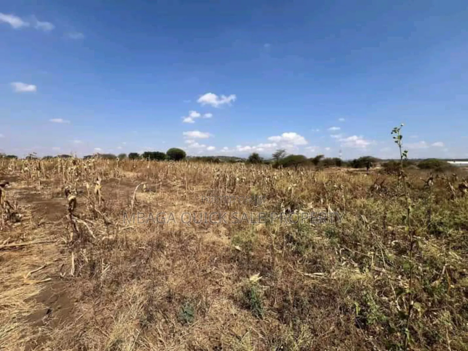 Plot With 5 Acres for Sale at Arusha in Arusha