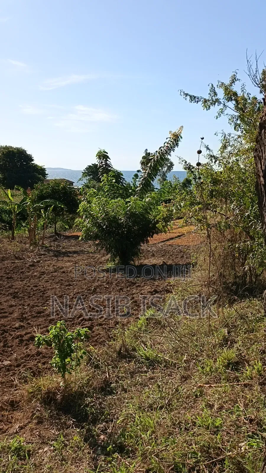 Plot for Sale 116,9 Squsre Meter Bwiru in Ilemela