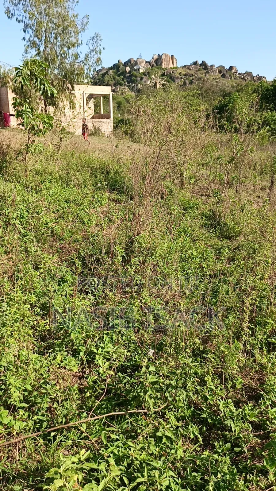Plot for Sale 116,9 Squsre Meter Bwiru in Ilemela