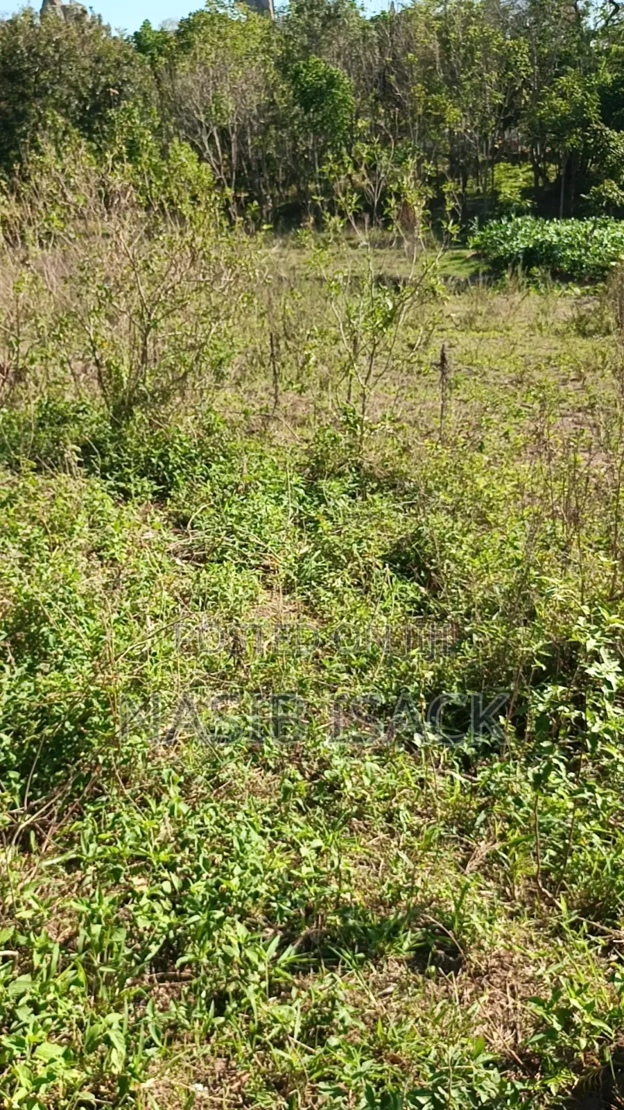 Plot for Sale 116,9 Squsre Meter Bwiru in Ilemela