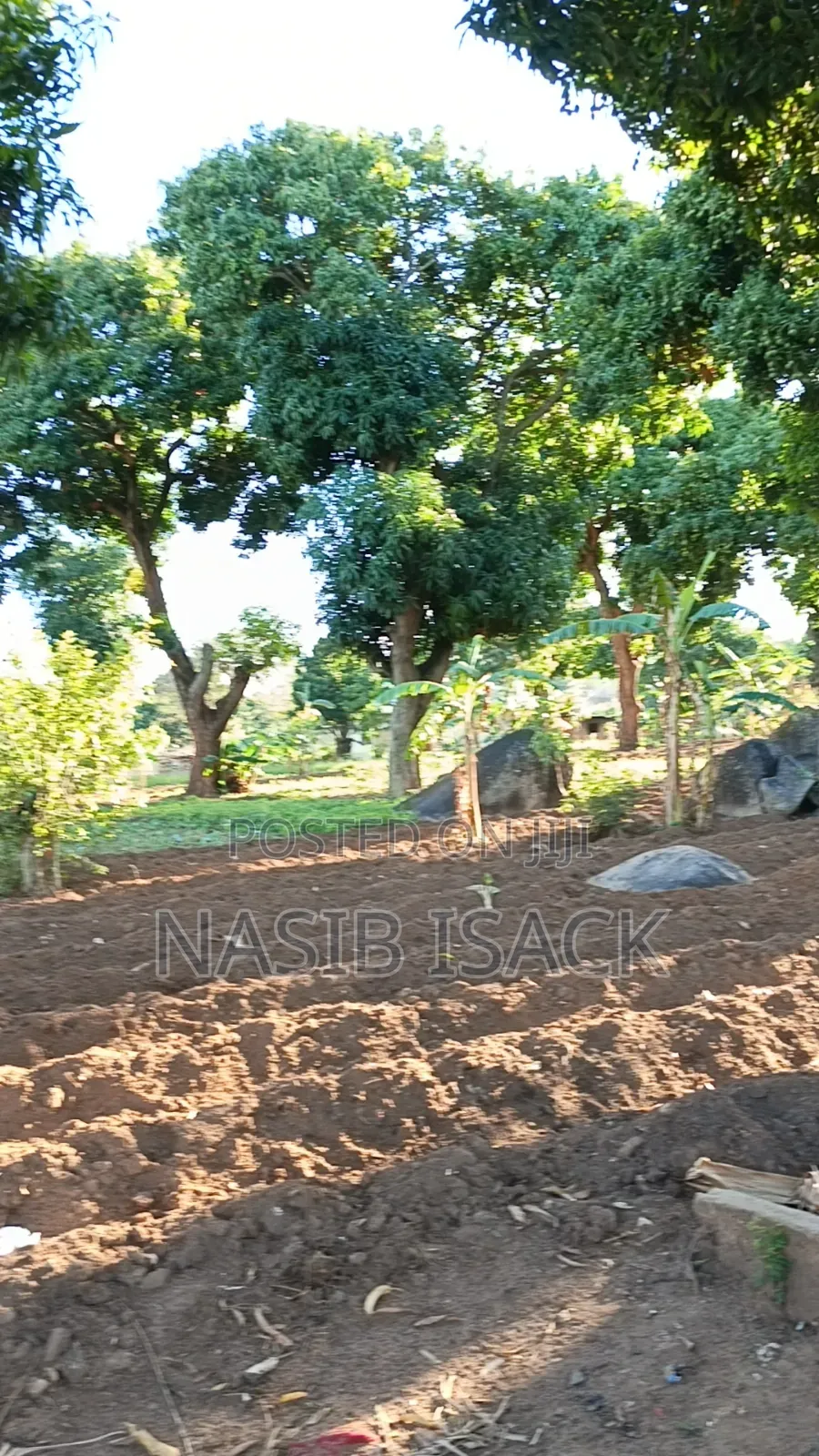 Plot for Sale 116,9 Squsre Meter Bwiru in Ilemela