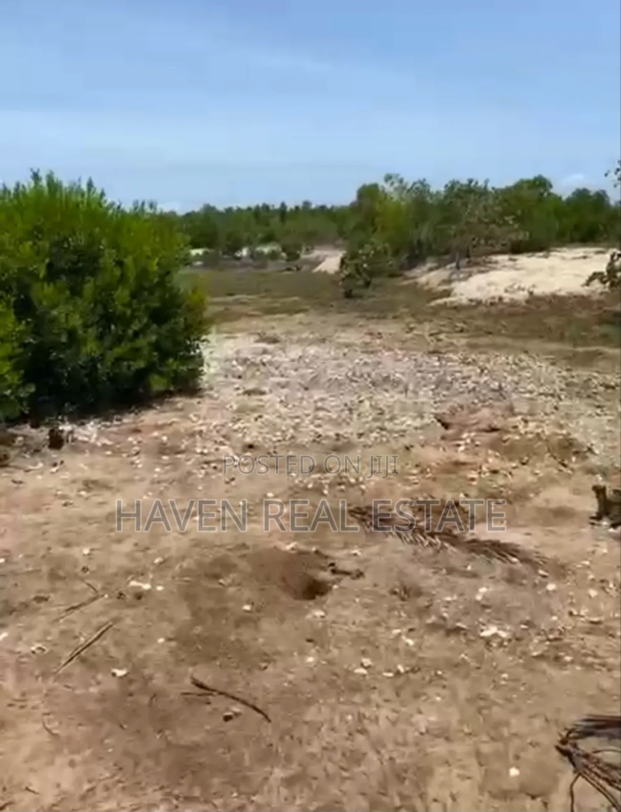 Beach Plot for Sale at Bwejuu Zanzibar in Unguja North