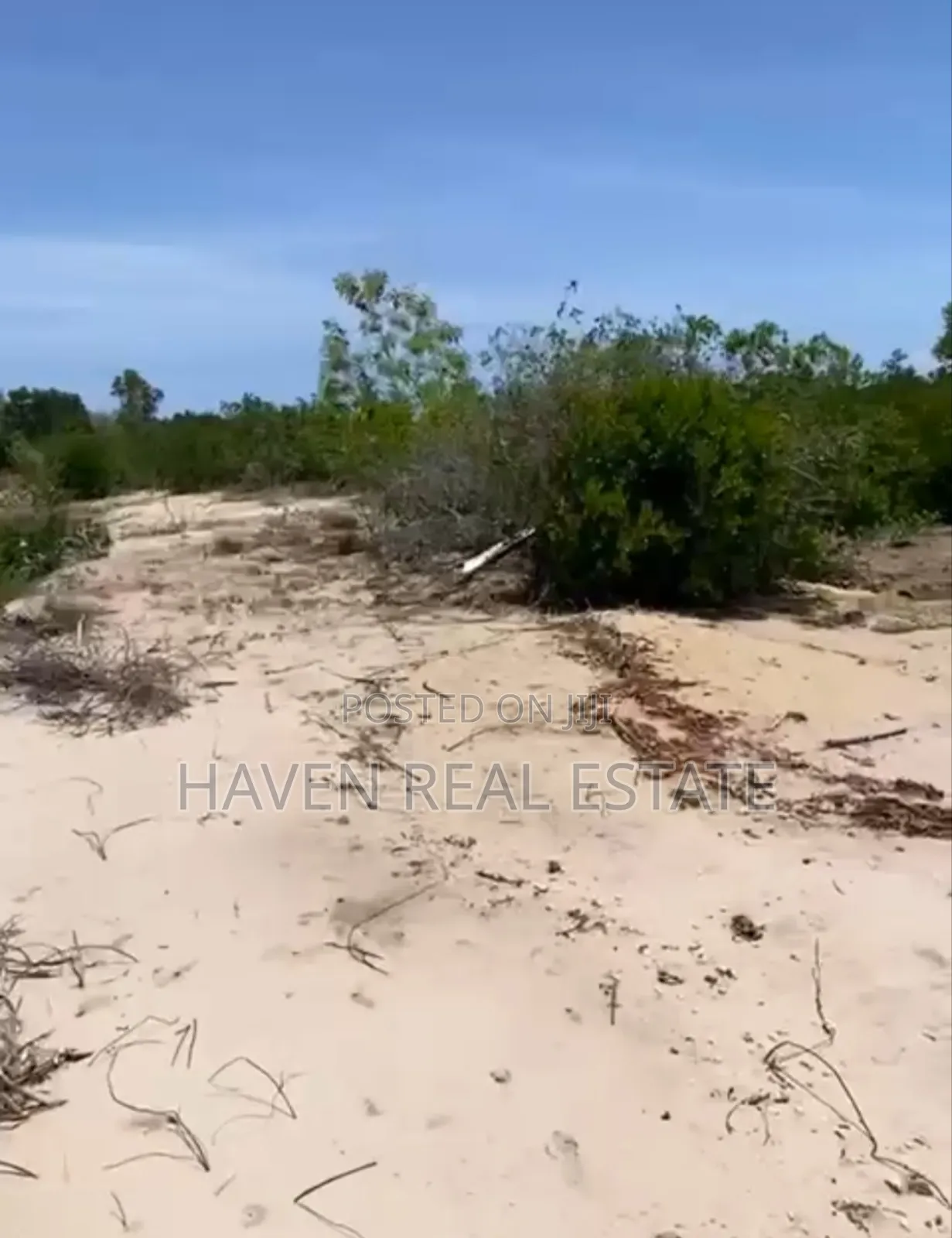 Beach Plot for Sale at Bwejuu Zanzibar in Unguja North