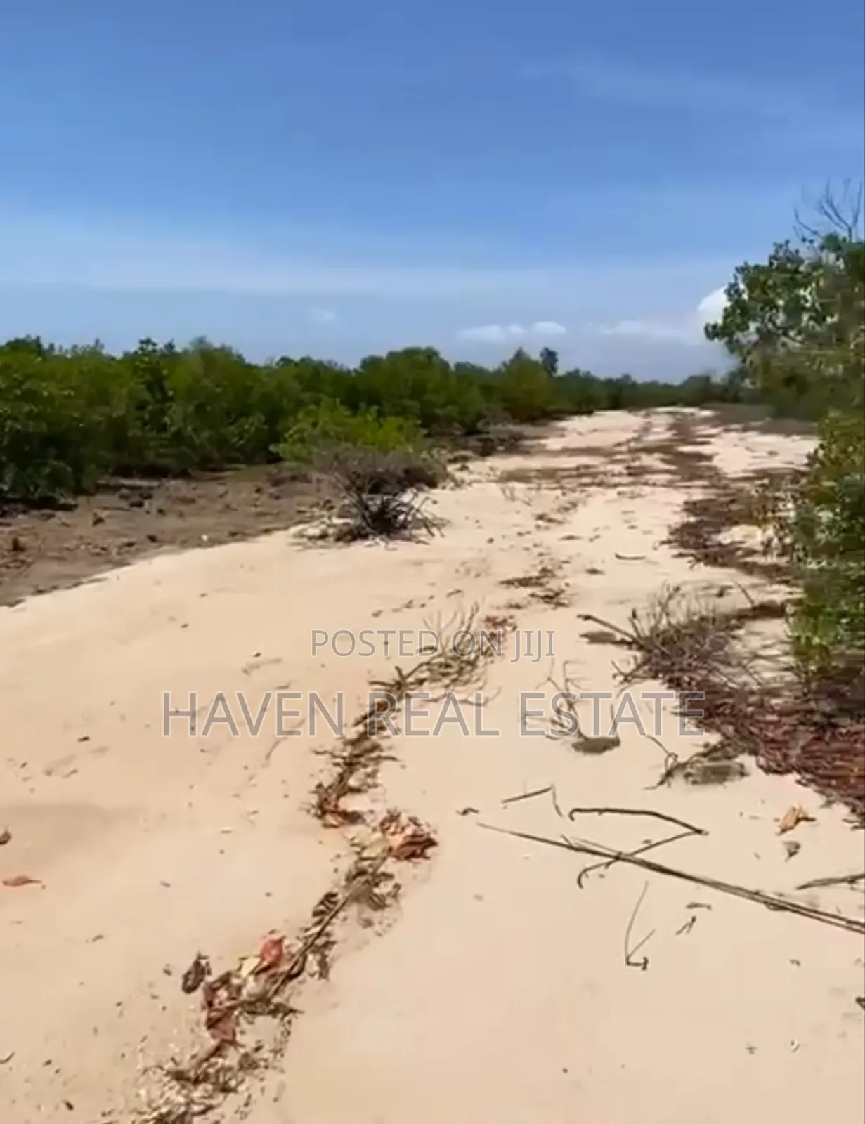 Beach Plot for Sale at Bwejuu Zanzibar in Unguja North