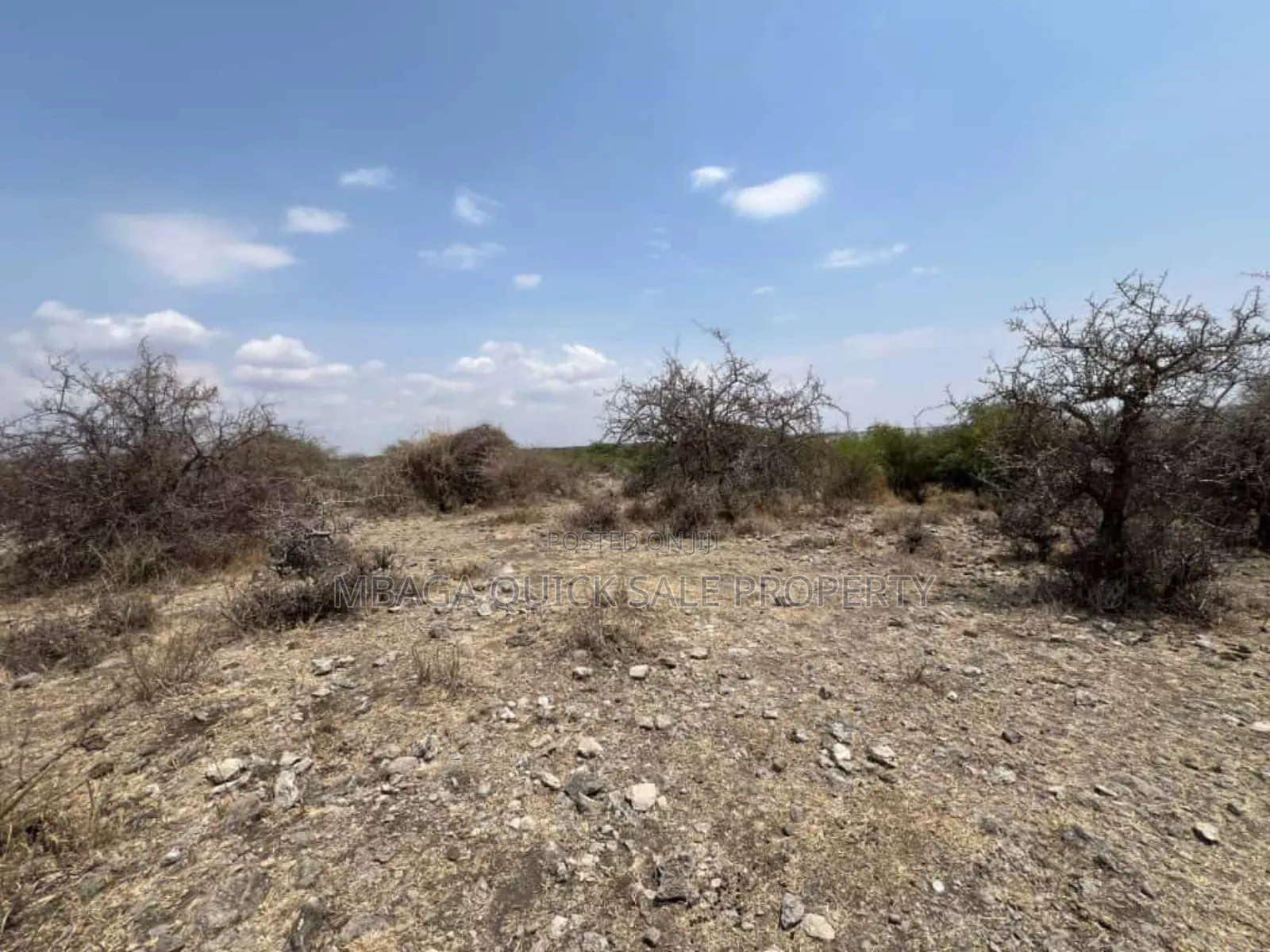 Beach Plot With 20 Acres for Sale at Manyara Arusha Mto Wa Mbu in Arusha