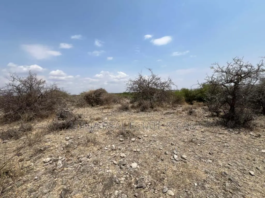 Plot for Sale Mto Wa Mbu Arusha in Ngorongoro