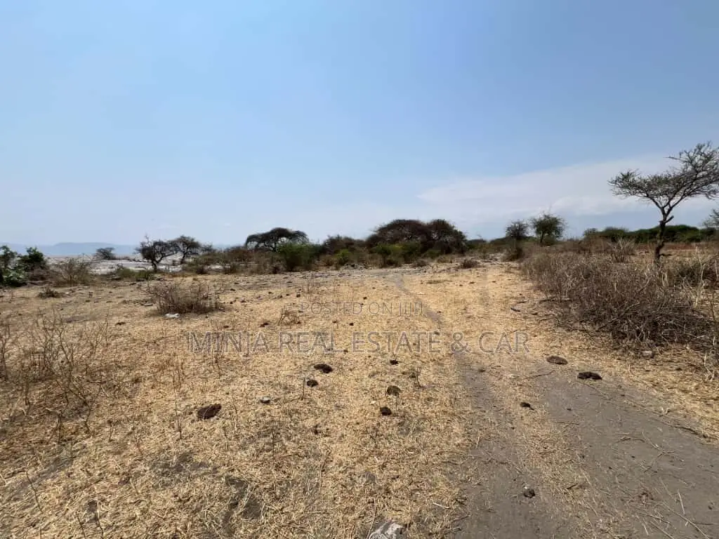 Plot for Sale Mto Wa Mbu Arusha in Ngorongoro