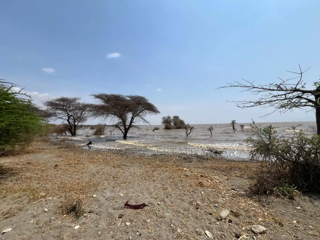 Plot for Sale Mto Wa Mbu Arusha in Ngorongoro