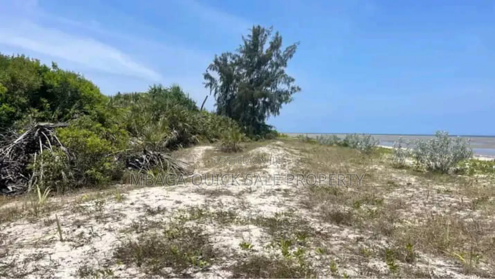 Beach Plot for Sale Per Acres Located at Tanga in Tanga City