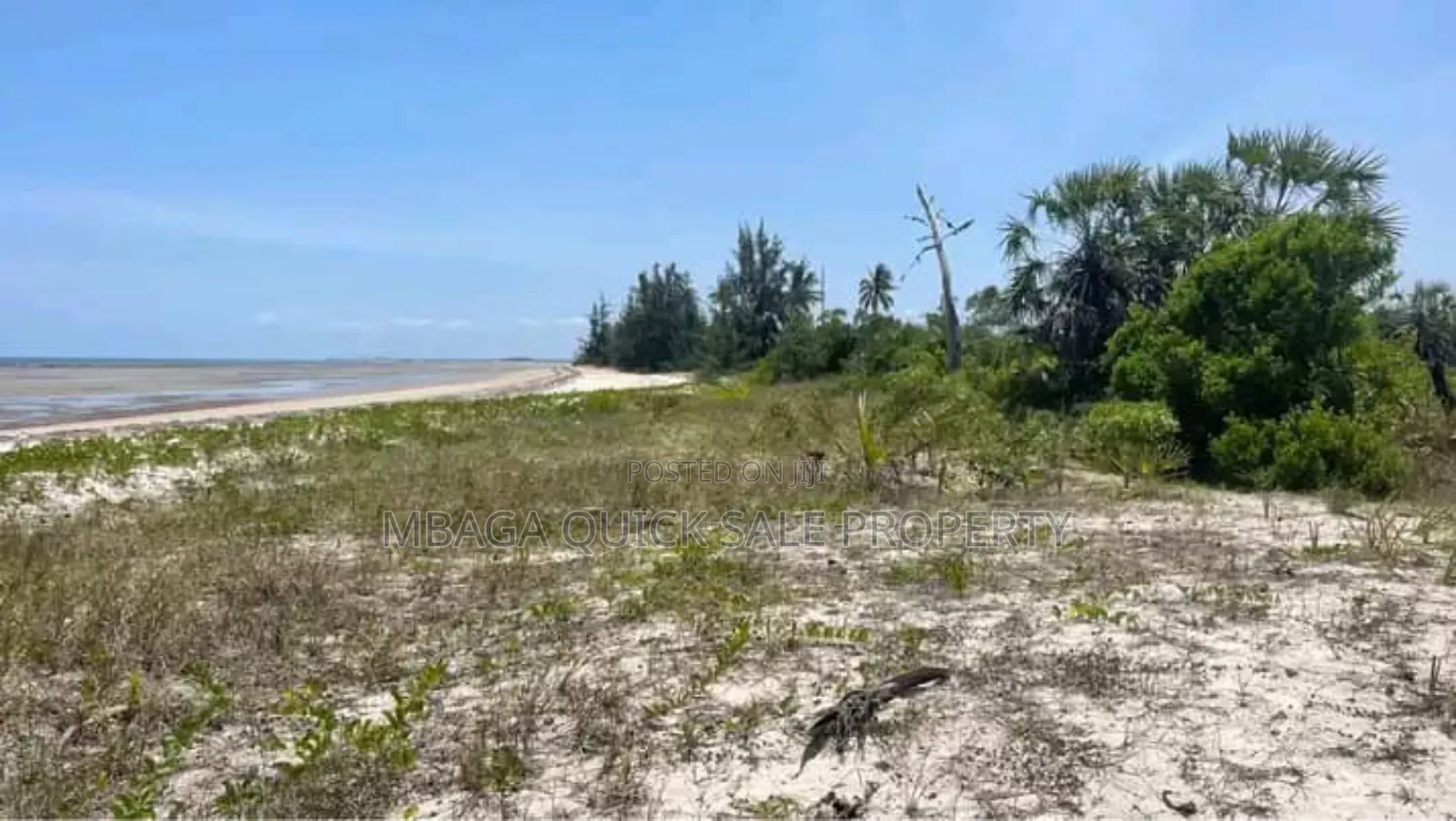 Beach Plot for Sale Per Acres Located at Tanga in Tanga City
