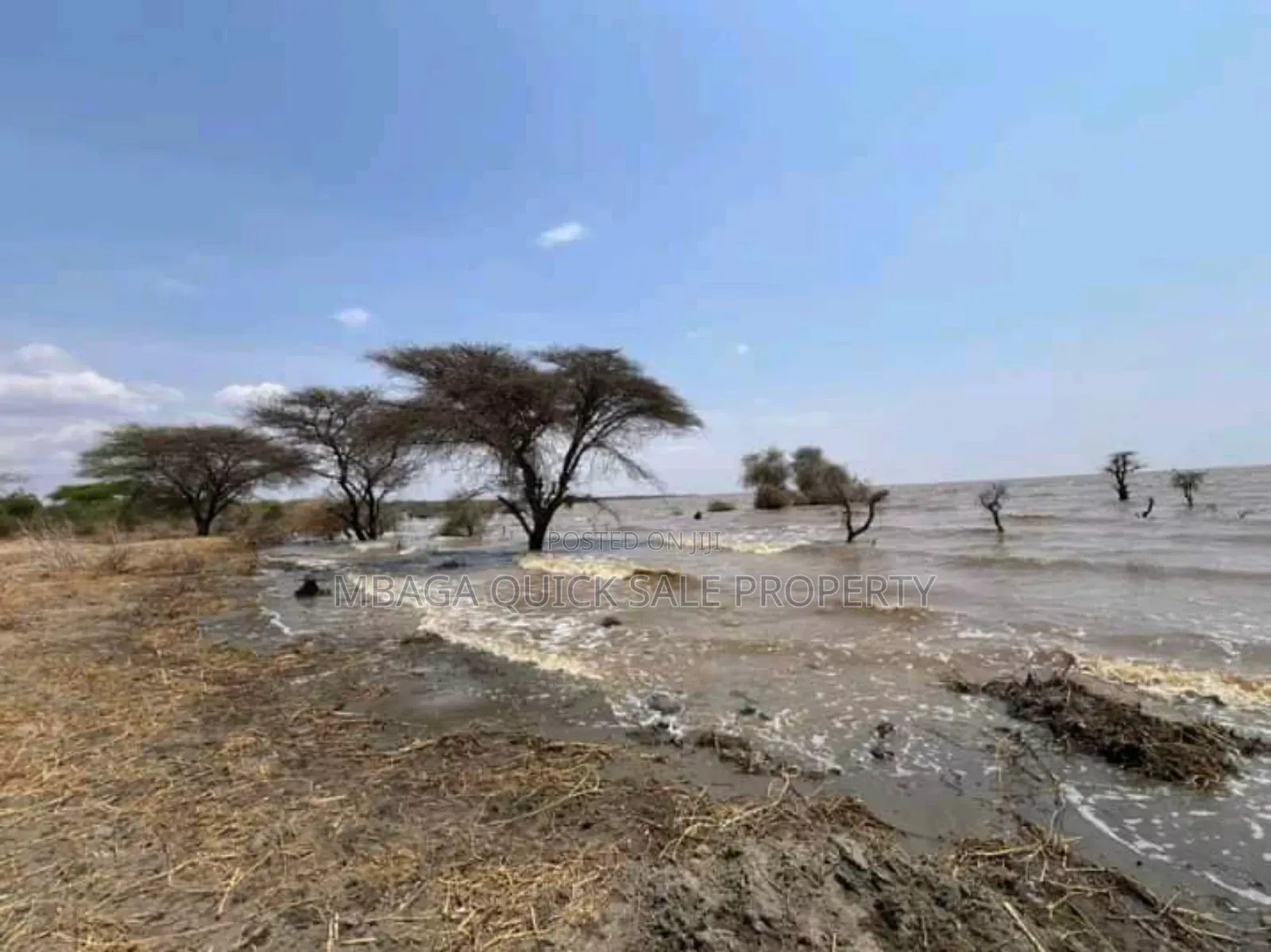 Plot With 20 Acres for Sale at Manyara Arusha in Arusha