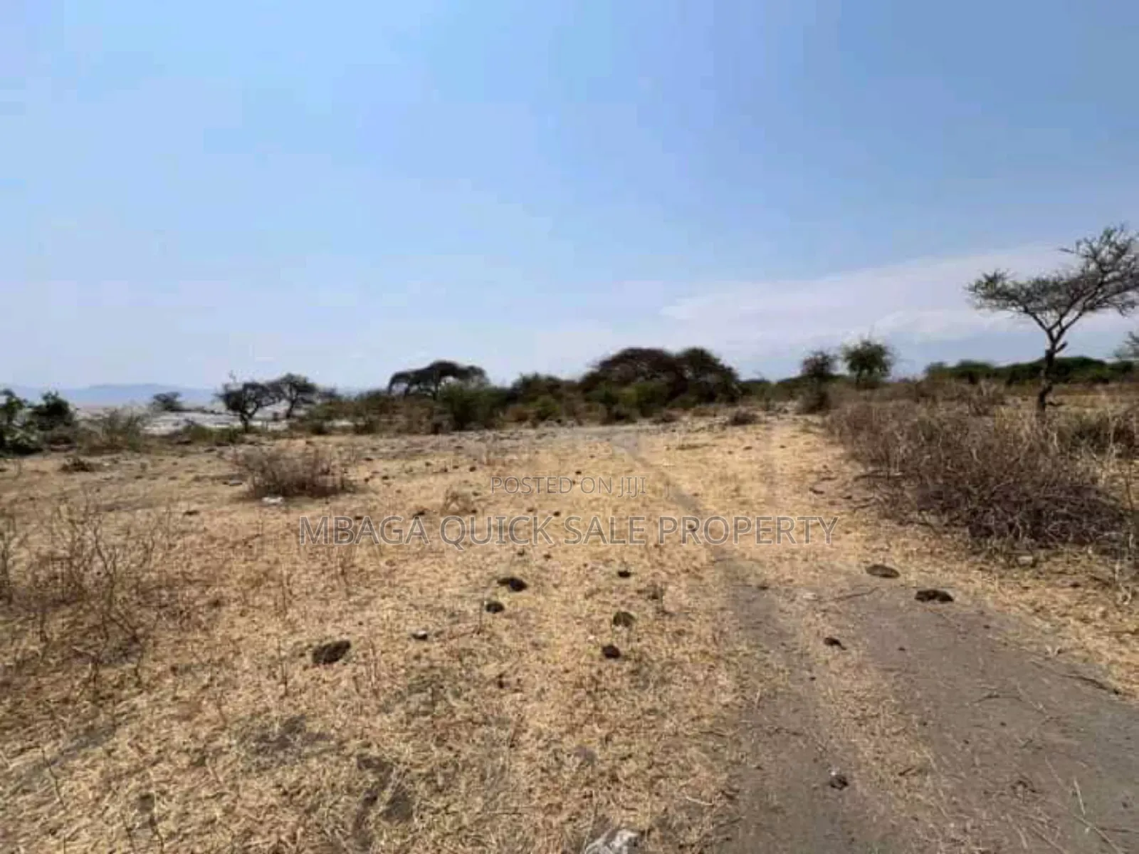 Plot With 20 Acres for Sale at Manyara Arusha in Arusha