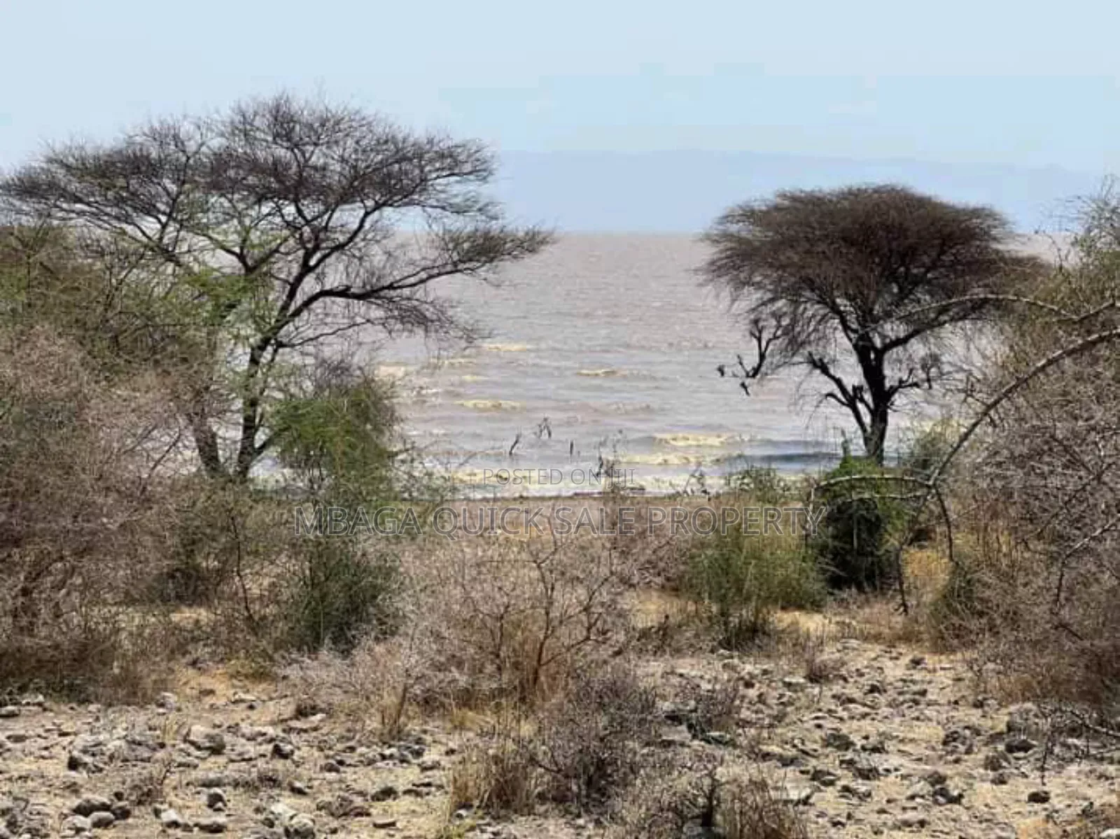 Plot With 20 Acres for Sale at Manyara Arusha in Arusha