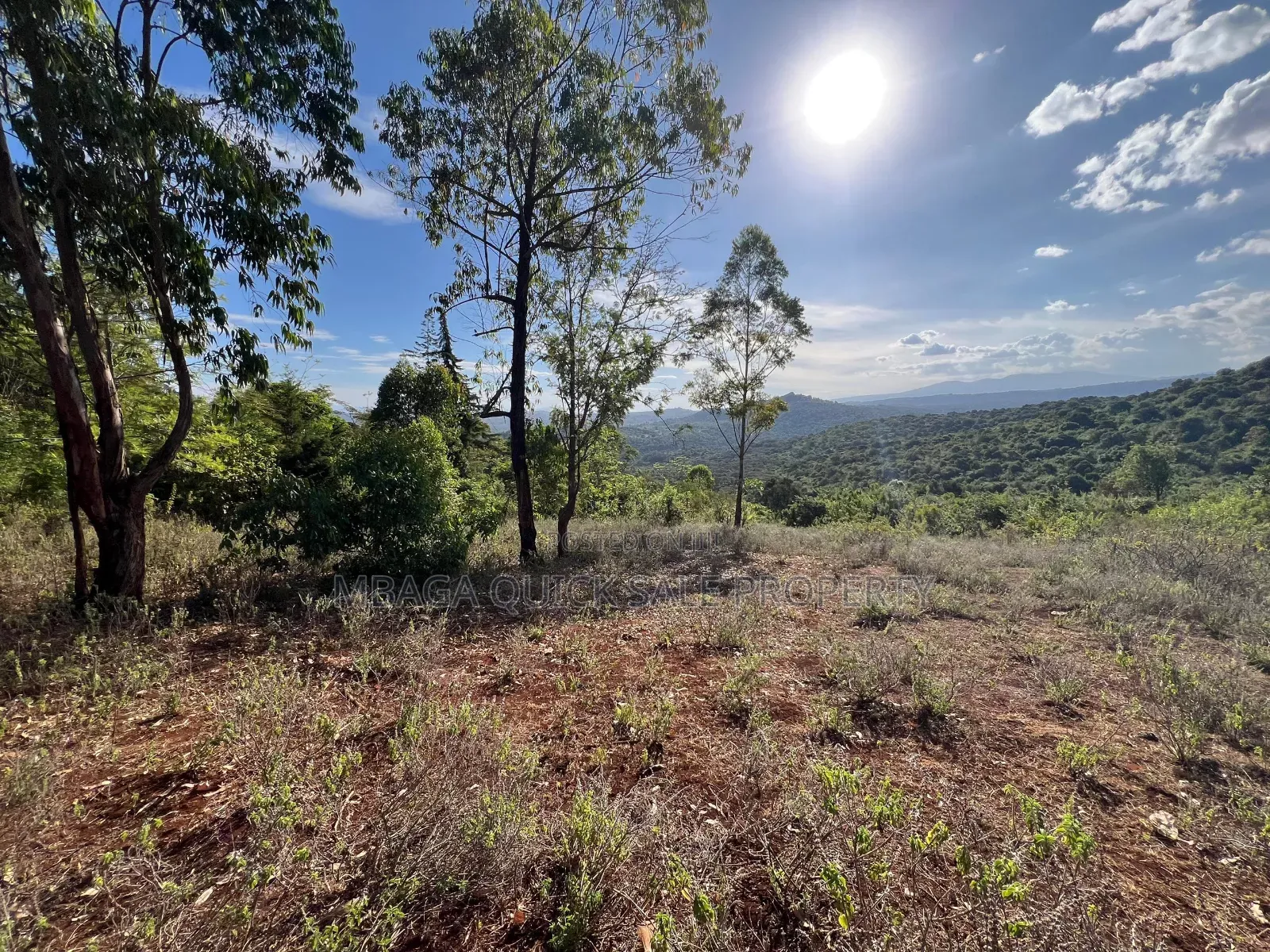 Farm With 7 Acres for Sale at Karatu in Tengeru