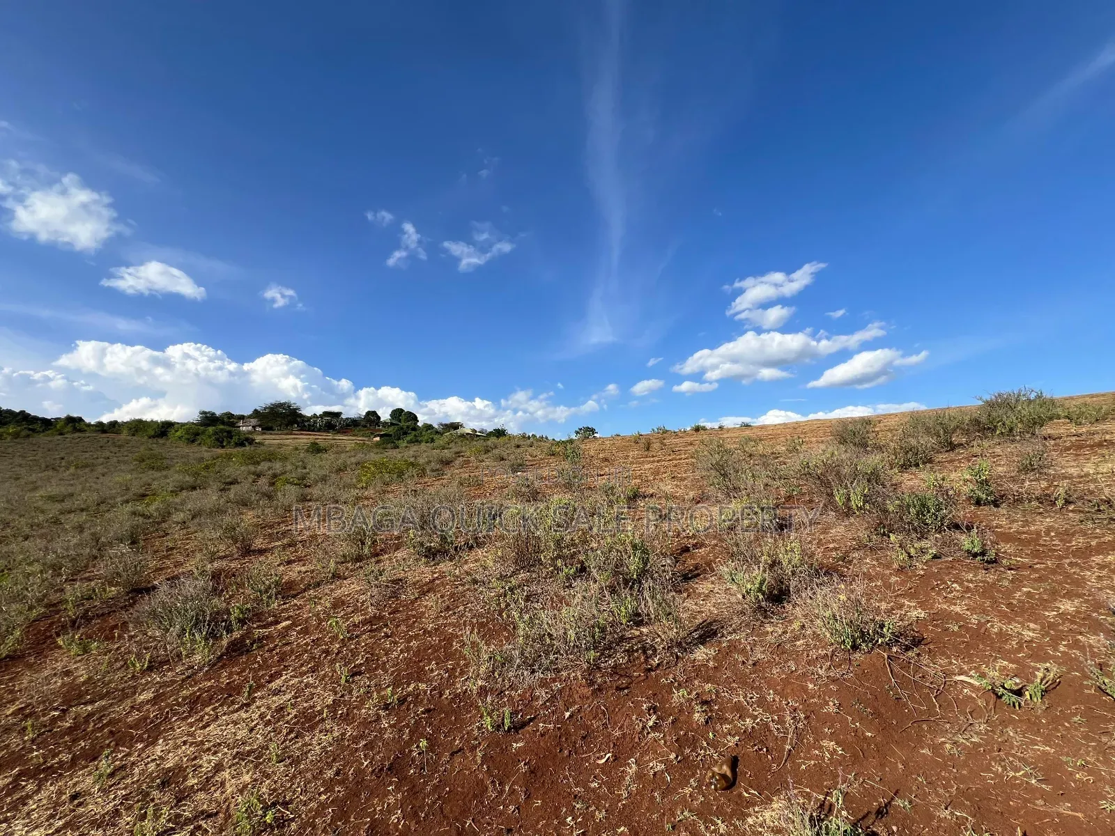 Farm With 7 Acres for Sale at Karatu in Tengeru
