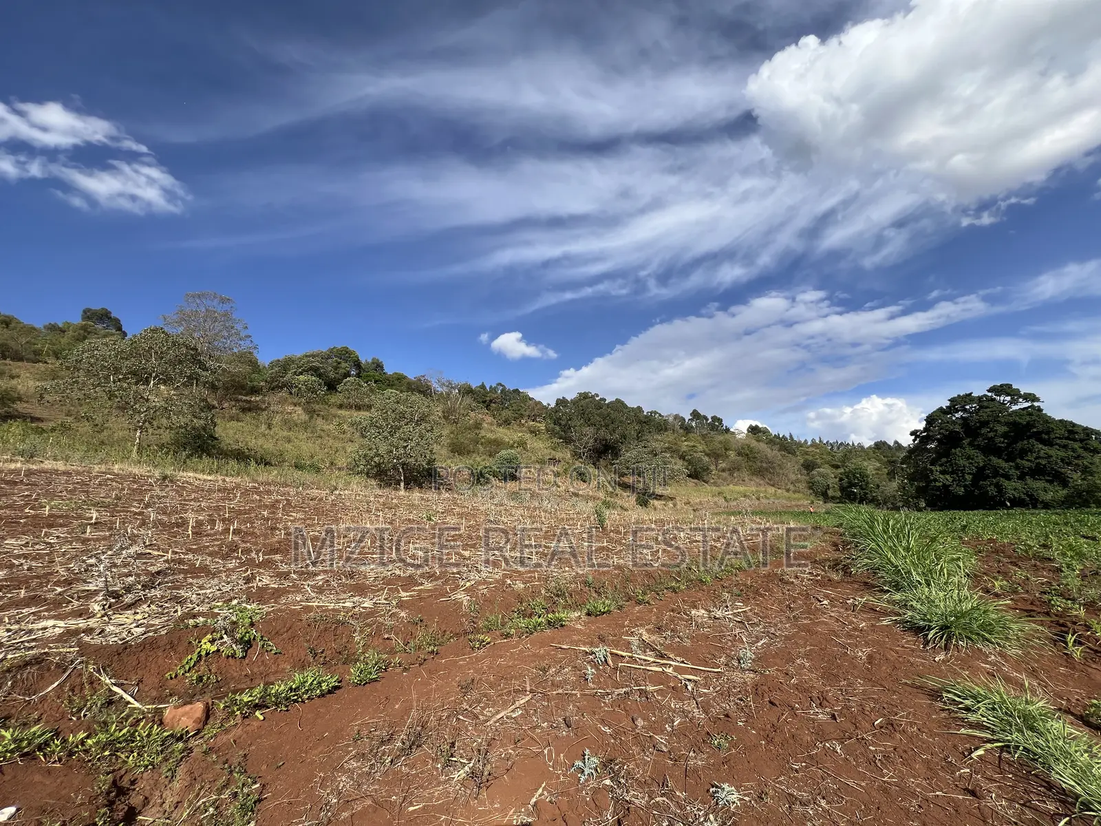 15 Acres of Prime Tourism Land for Sale in Karatu in Rhotia