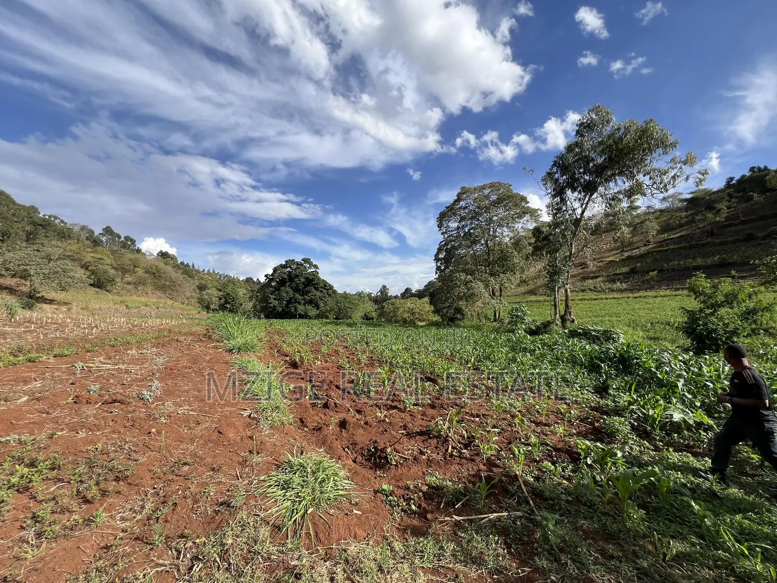 15 Acres of Prime Tourism Land for Sale in Karatu in Rhotia