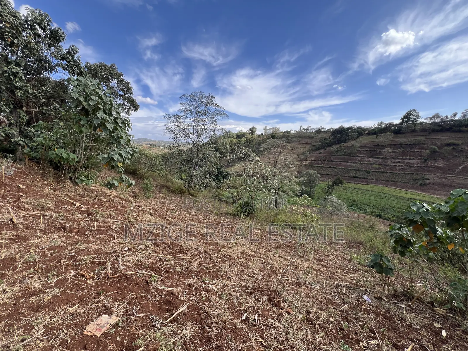15 Acres of Prime Tourism Land for Sale in Karatu in Rhotia