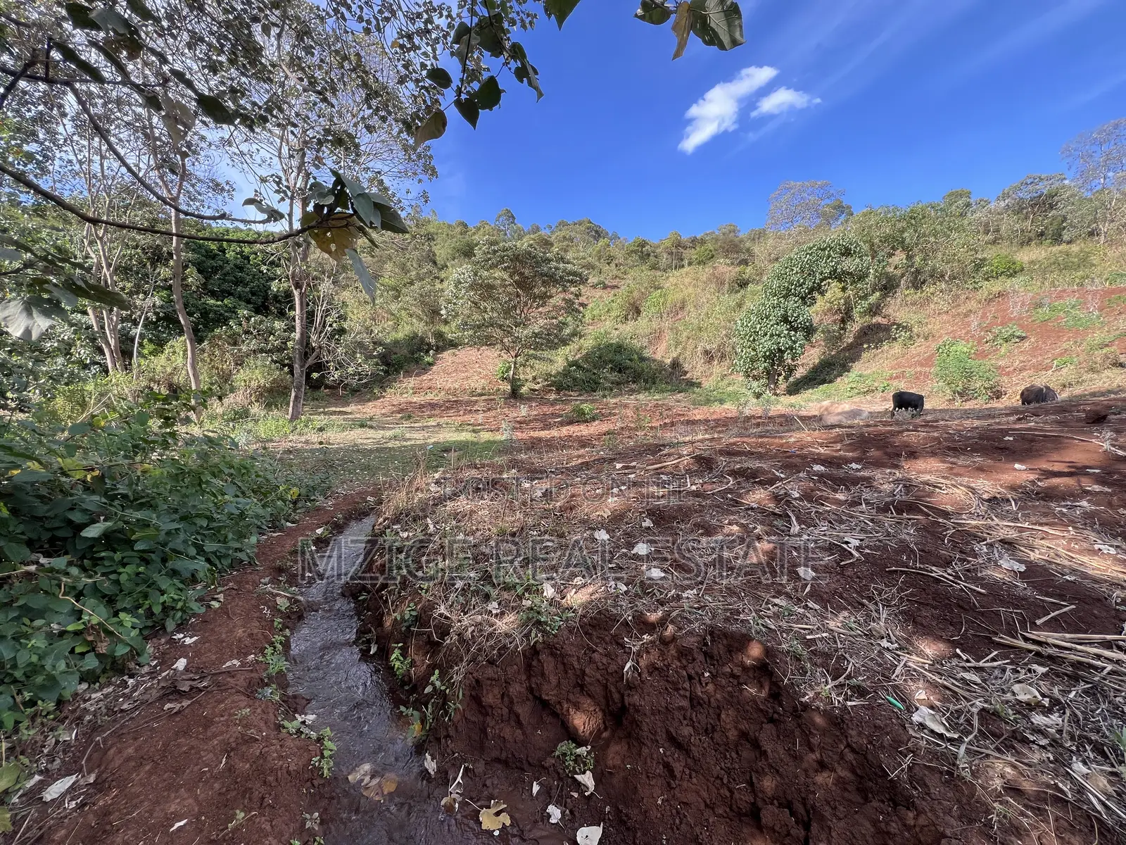15 Acres of Prime Tourism Land for Sale in Karatu in Rhotia