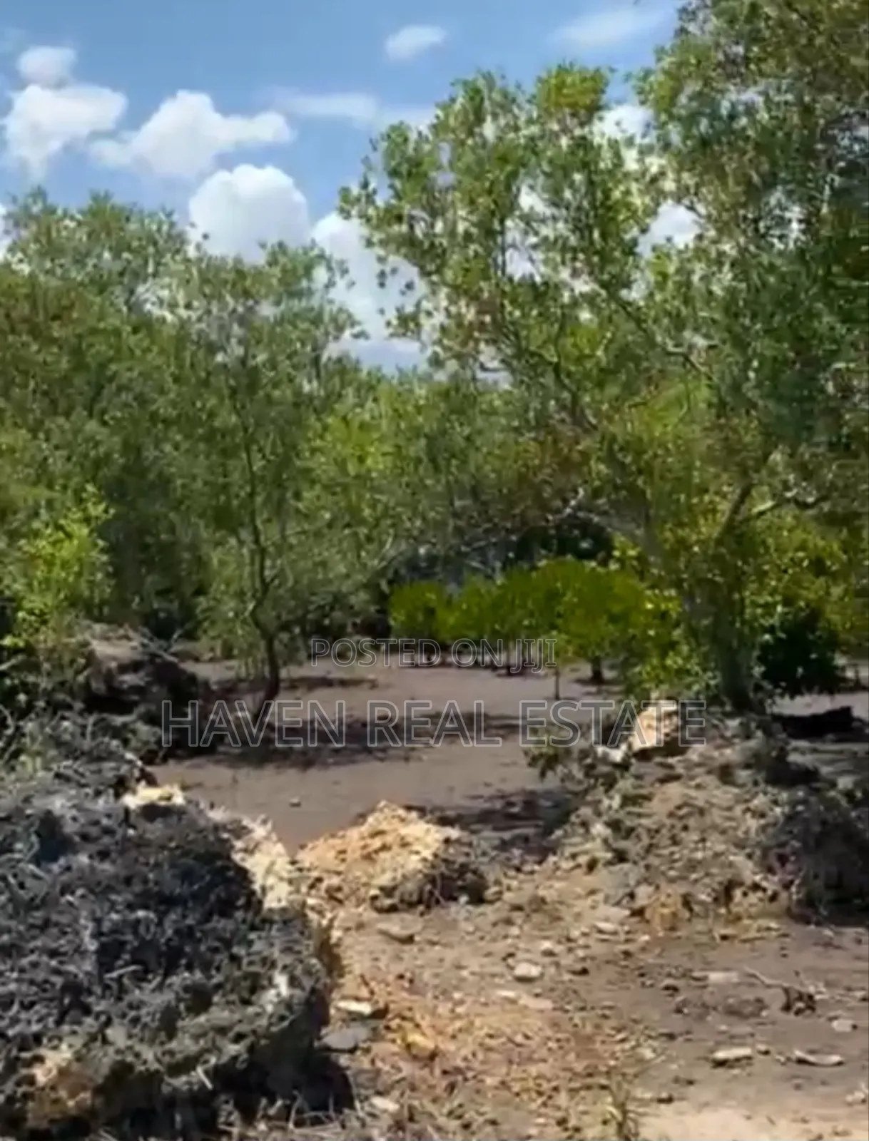 Mangrove Beach Plot for Sale at Zanzibar in Unguja North