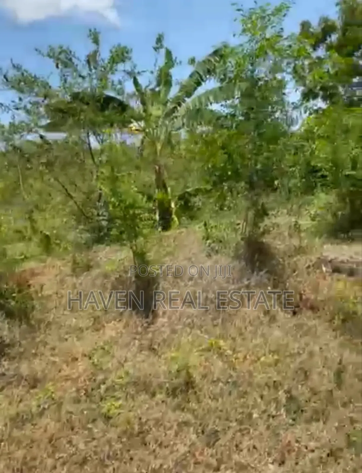 Mangrove Beach Plot for Sale at Zanzibar in Unguja North