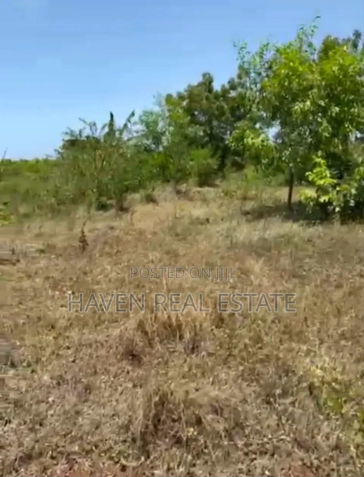 Mangrove Beach Plot for Sale at Zanzibar in Unguja North