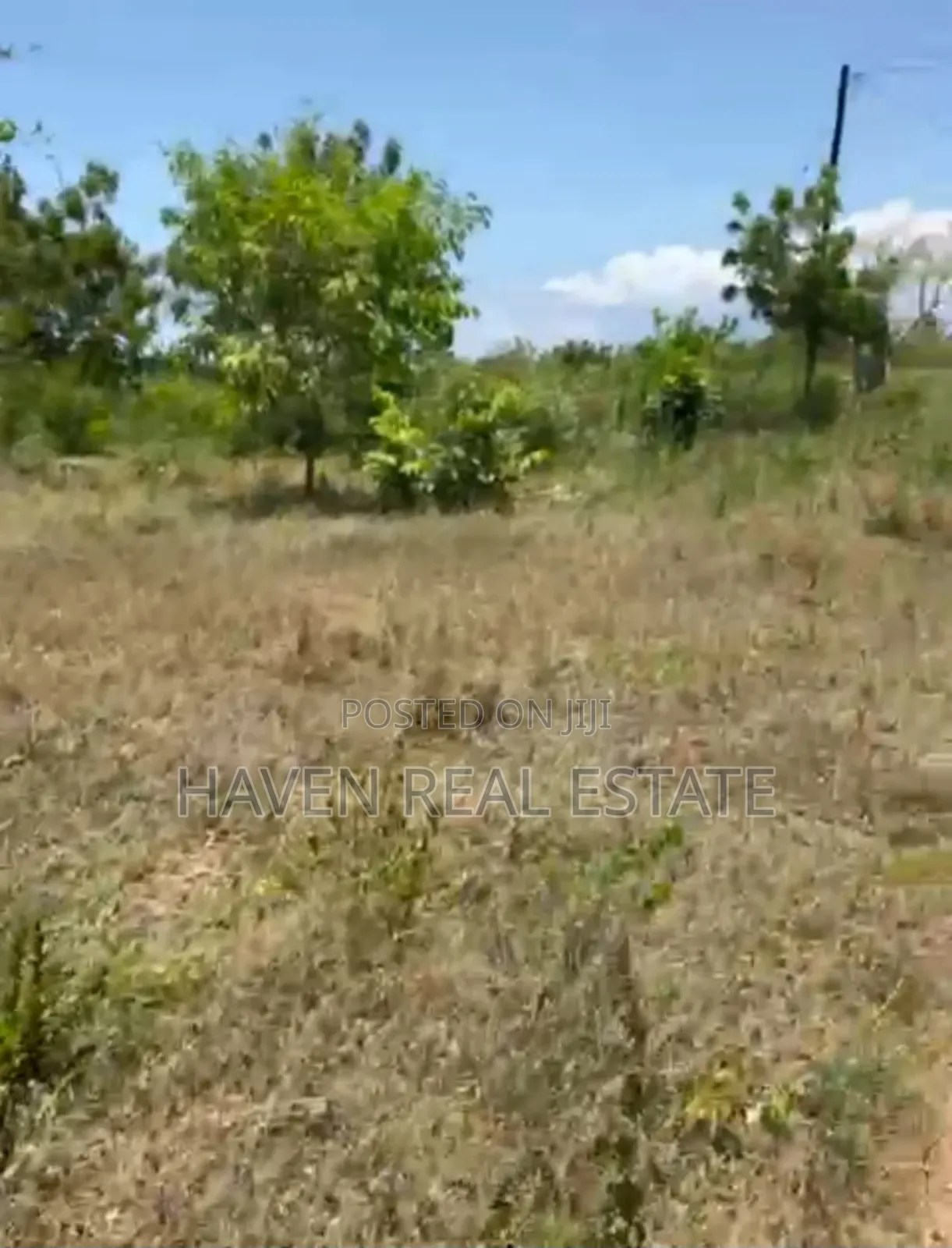 Mangrove Beach Plot for Sale at Zanzibar in Unguja North