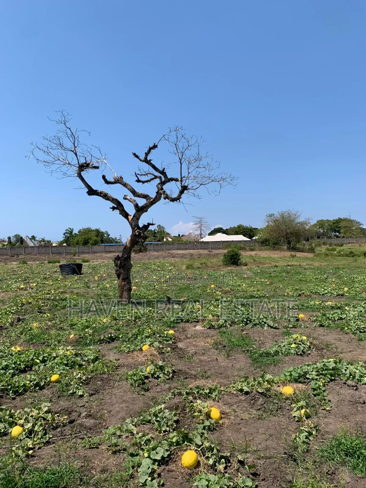 5acres Plot for Sale at Mbweni Malindi in Mbweni
